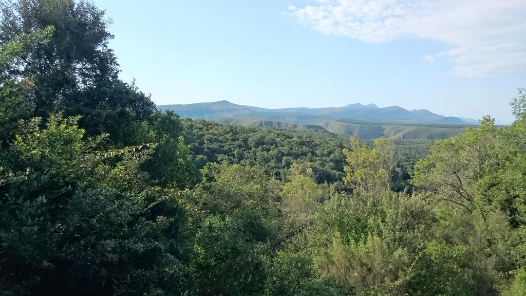 Plettenberg Bay Game Reserve: The Baroness Safari Lodge Zewnętrze zdjęcie