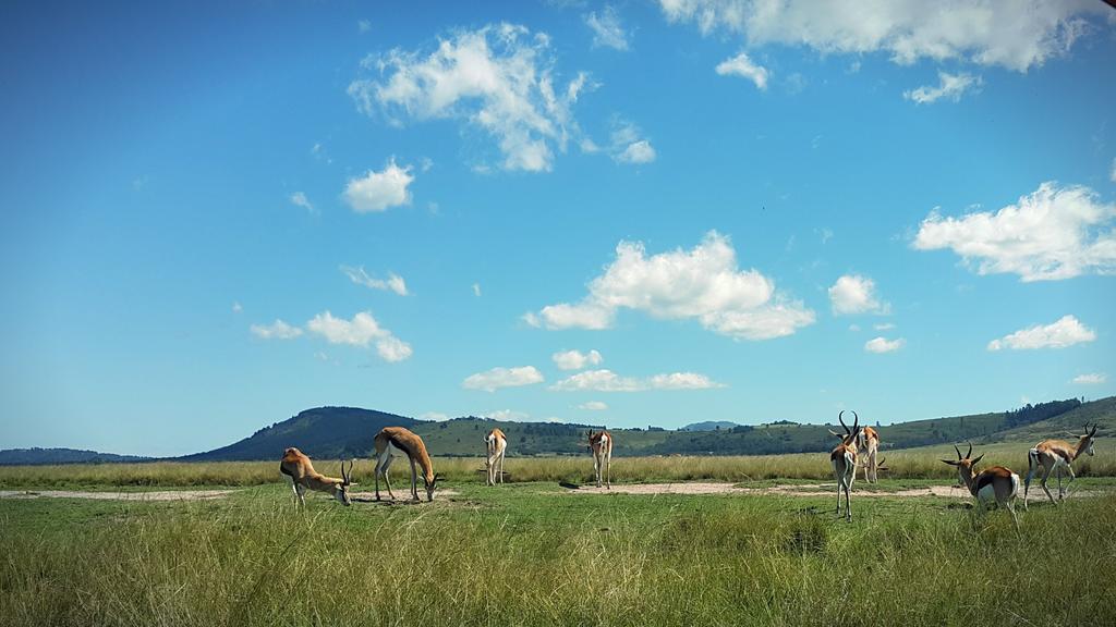 Plettenberg Bay Game Reserve: The Baroness Safari Lodge Zewnętrze zdjęcie