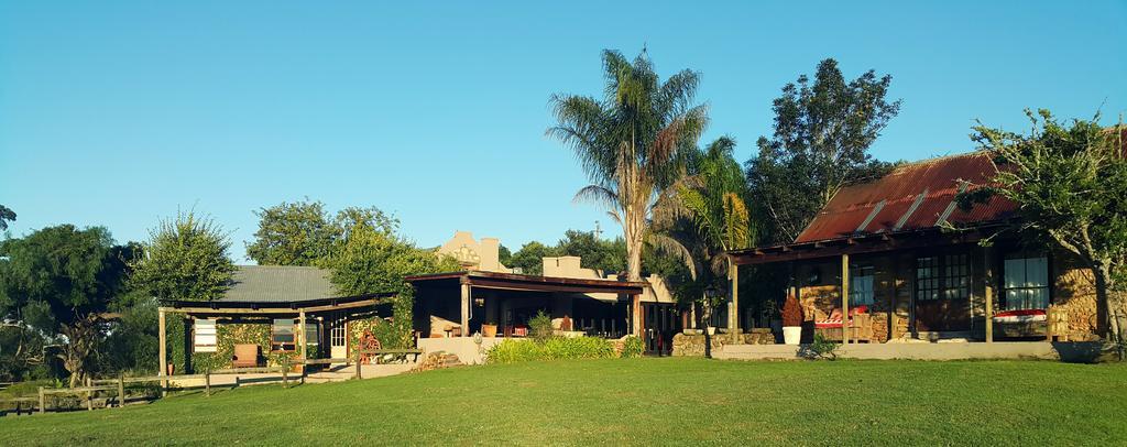 Plettenberg Bay Game Reserve: The Baroness Safari Lodge Zewnętrze zdjęcie